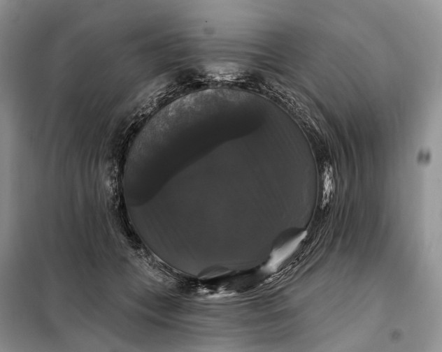 X0000097990559200804071154