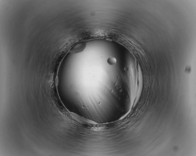 X0000097990560200804071155