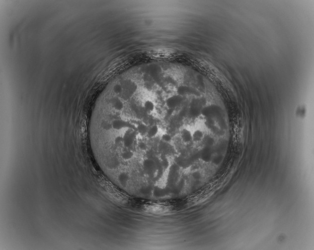 X0000097990561200804071155
