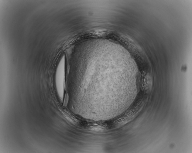 X0000097990562200804071155