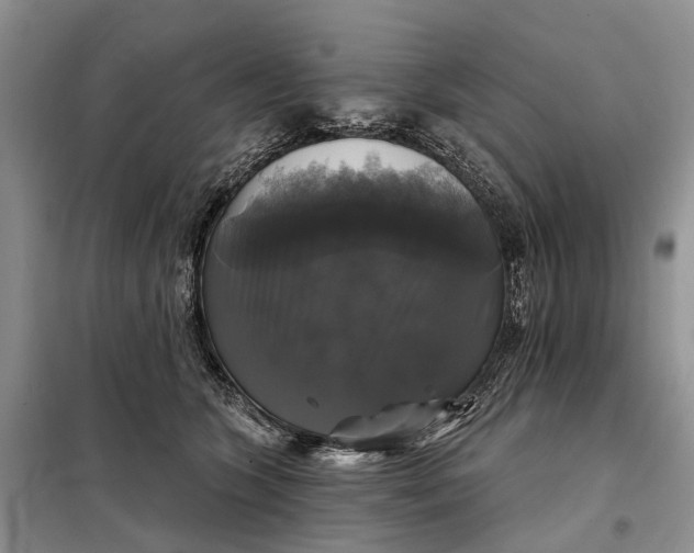 X0000097990563200804071155