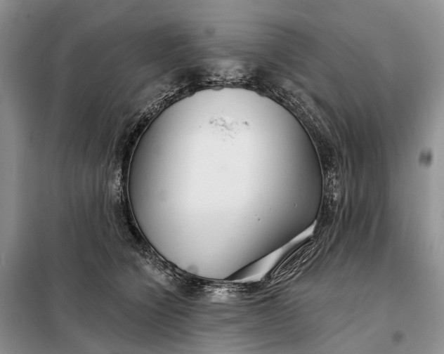 X0000097990564200804071155