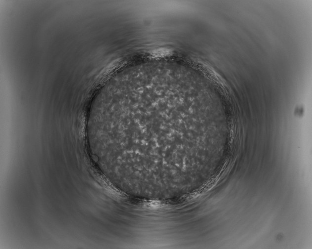 X0000097990565200804071155