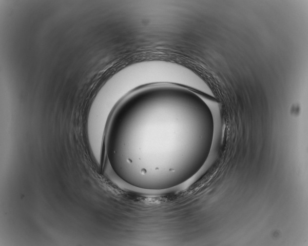 X0000097990566200804071155