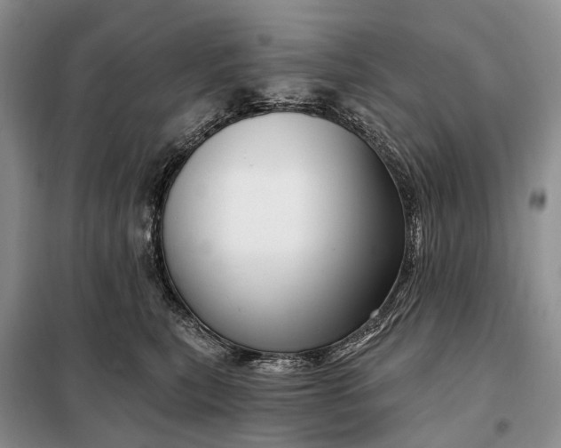 X0000097990567200804071155