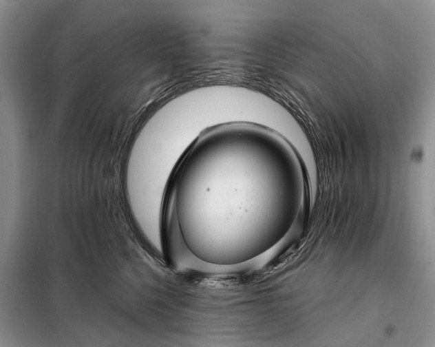 X0000097990568200804071155