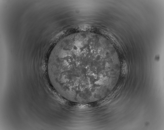 X0000097990569200804071155
