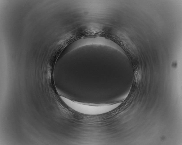 X0000097990570200804071155