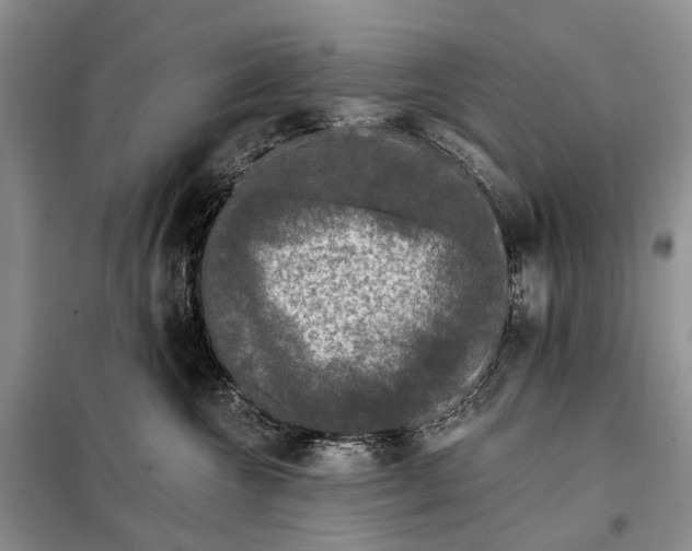 X0000097990572200804071155