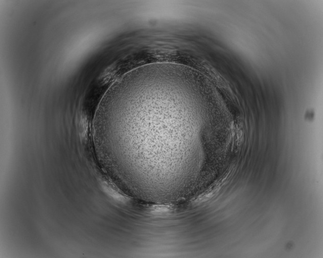 X0000097990574200804071155