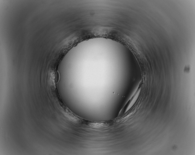 X0000097990575200804071155