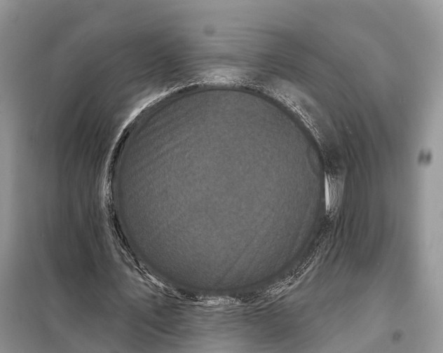 X0000097990579200804071154