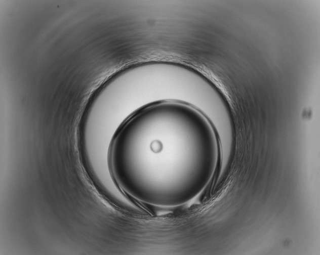 X0000097990581200804071154