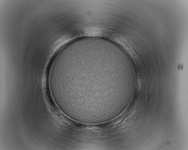 X0000097990583200804071154