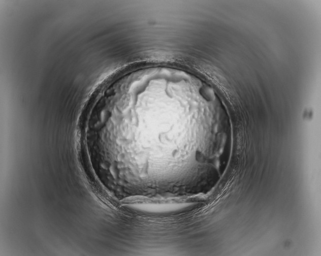X0000097990584200804071154