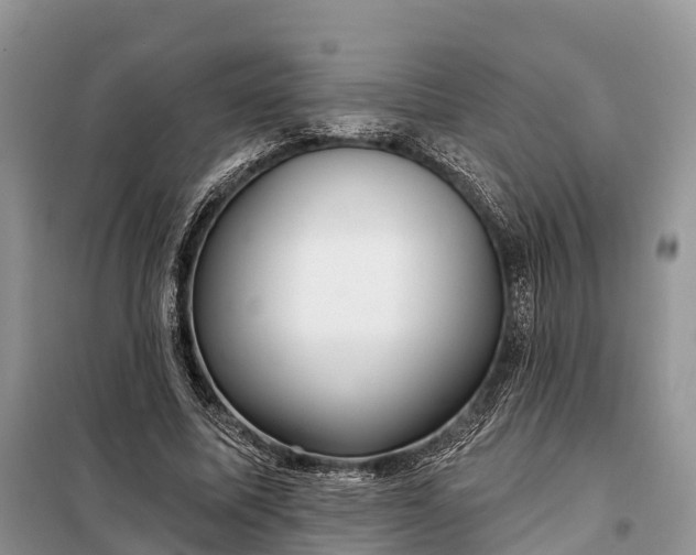 X0000097990587200804071154
