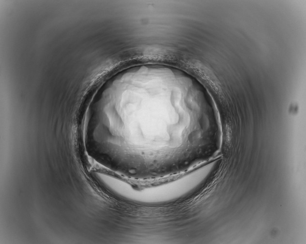 X0000097990588200804071154