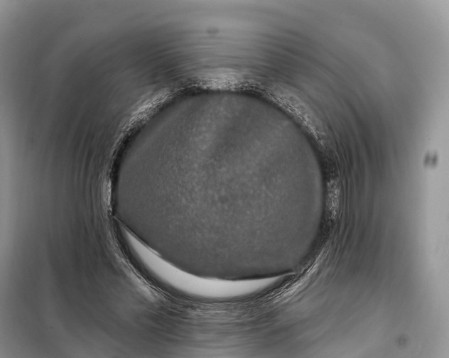 X0000097990589200804071154