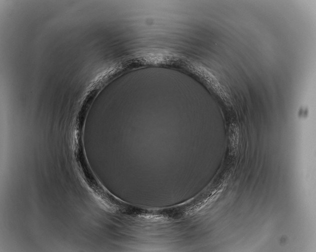 X0000097990590200804071154