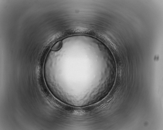 X0000097990591200804071154