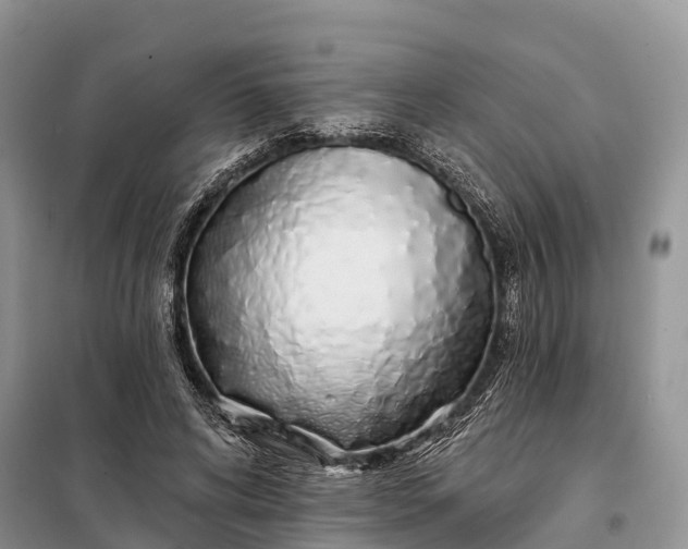 X0000097990592200804071154