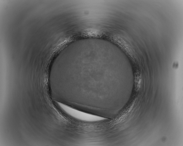 X0000097990593200804071154