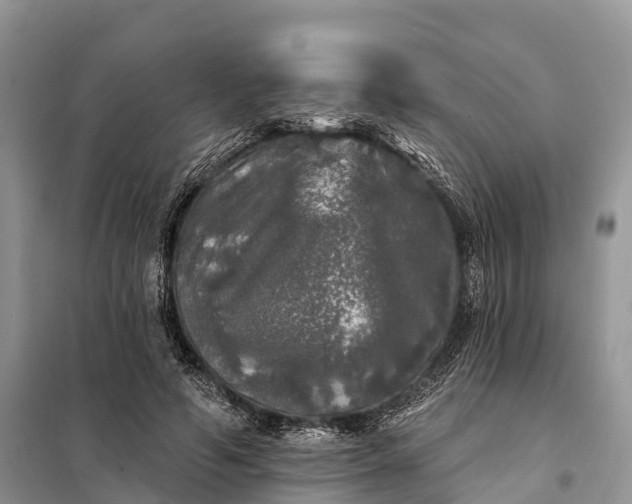 X0000097990594200804071154