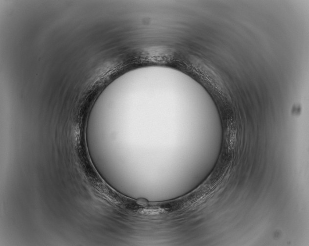 X0000097990595200804071154