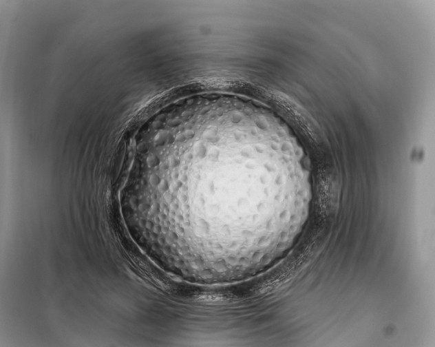 X0000097990596200804071154