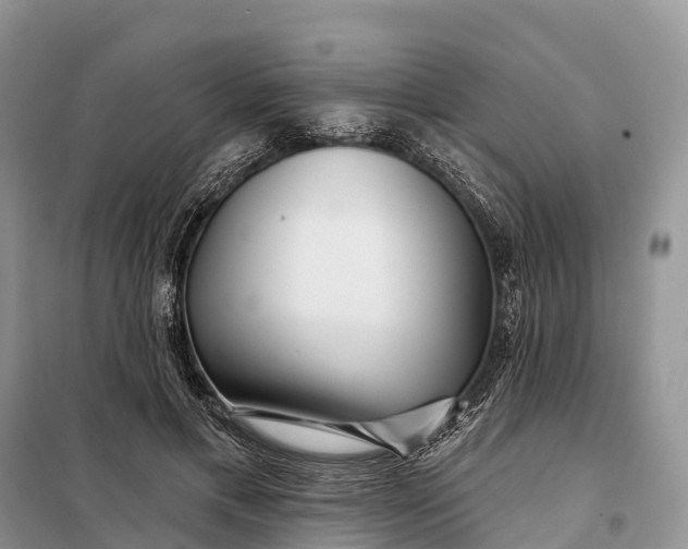 X0000097990597200804071154
