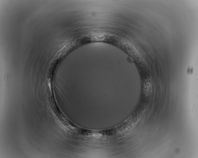 X0000097990598200804071154