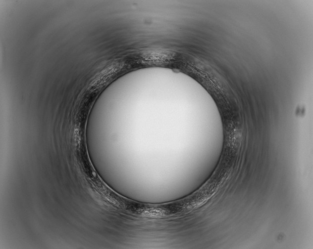 X0000097990599200804071154