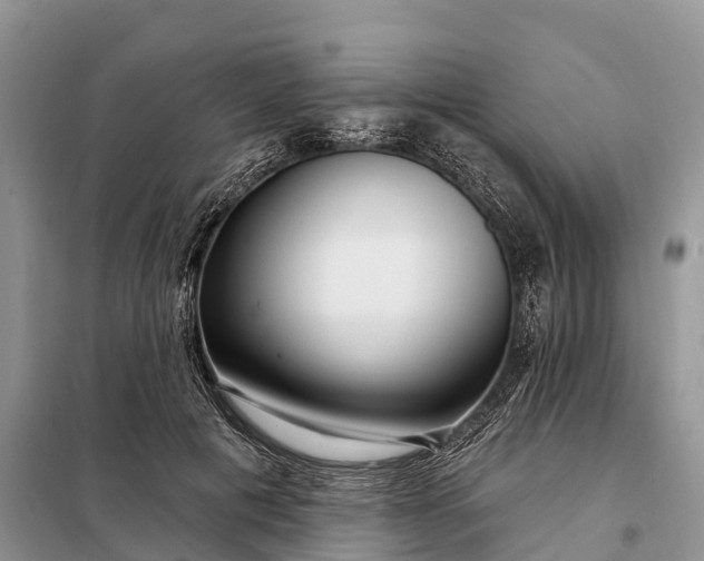 X0000097990601200804071154