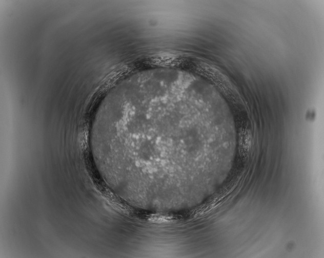 X0000097990602200804071154