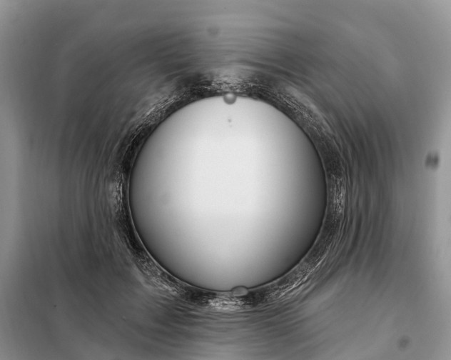 X0000097990603200804071154