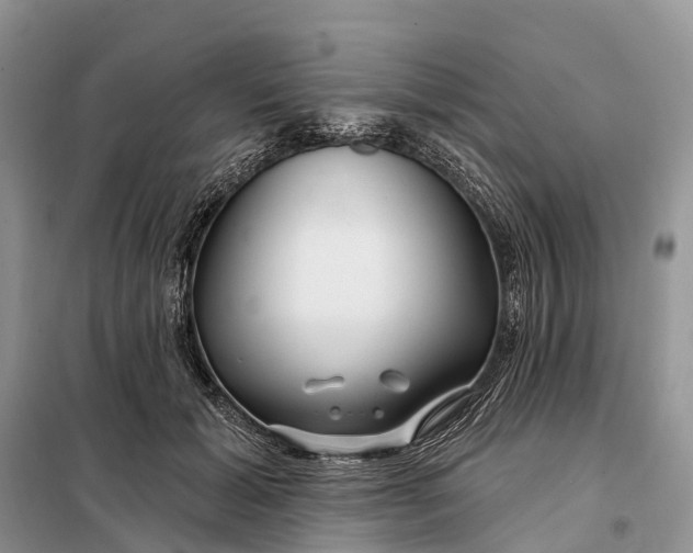 X0000097990605200804071154