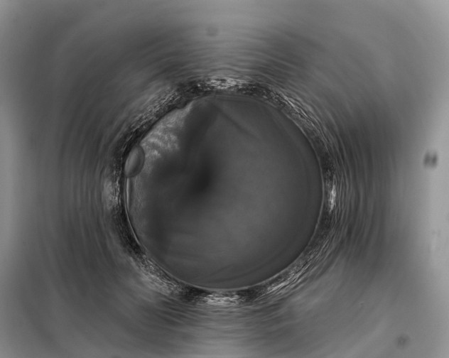X0000097990606200804071153