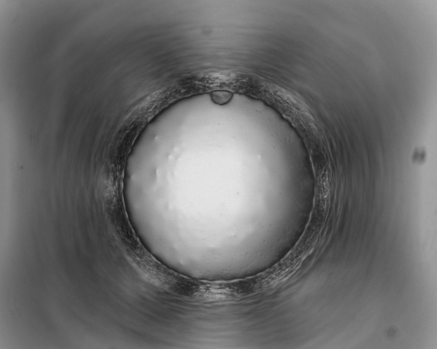 X0000097990607200804071153