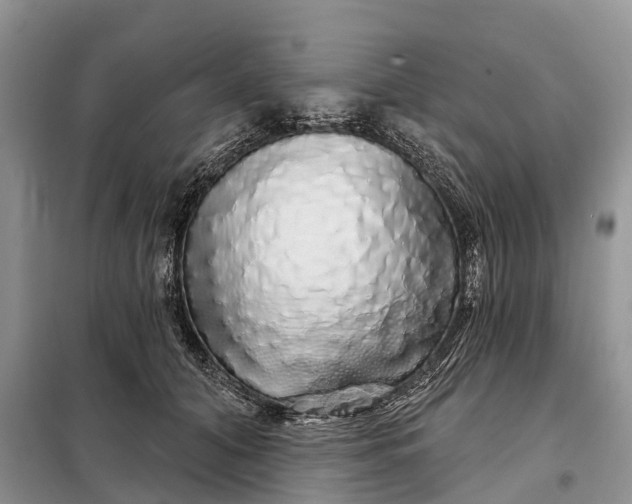 X0000097990608200804071153