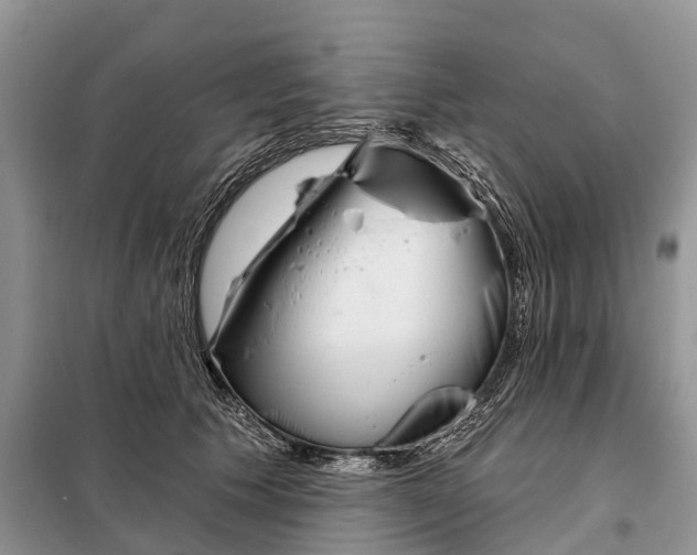 X0000097990609200804071153