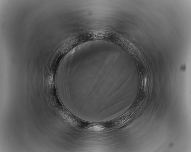 X0000097990610200804071153