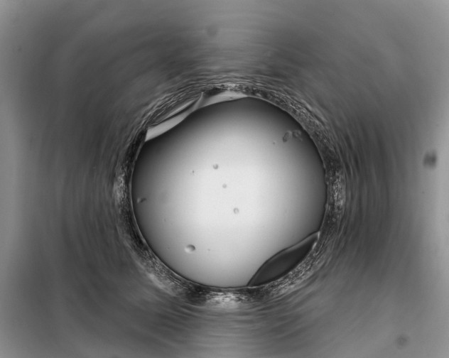 X0000097990611200804071153