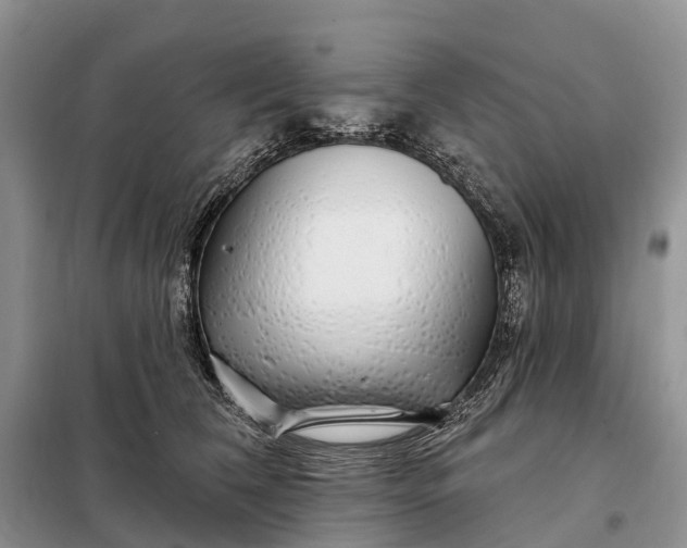 X0000097990612200804071153
