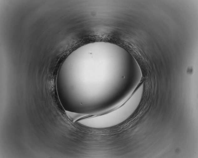 X0000097990613200804071153
