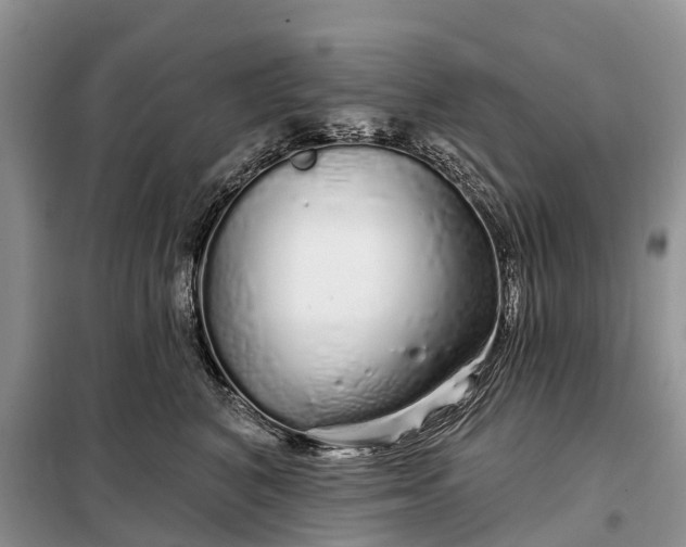 X0000097990616200804071153