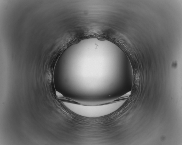 X0000097990617200804071153