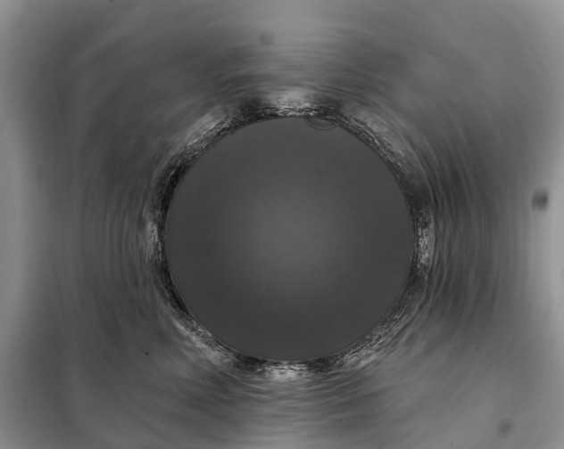 X0000097990618200804071153