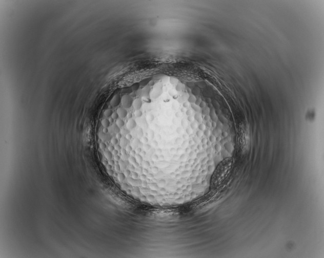 X0000097990619200804071153
