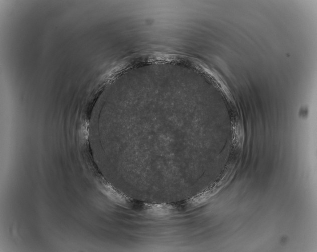 X0000097990621200804071153
