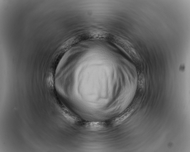 X0000097990622200804071153